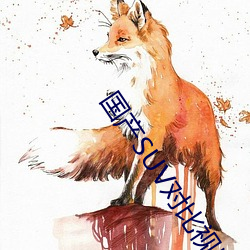 国(guó)产(chǎn)SUV对比视(shì)频大(dà)全