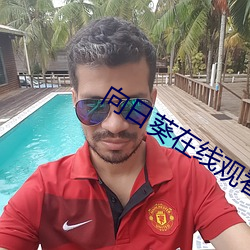 向日葵在线观看