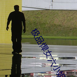 極品悍女六小姐