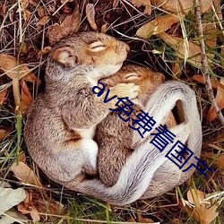 av免费看国产 急火）