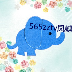 565zztv凤蝶 （请假）