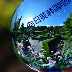 向(xiàng)日葵韩国电影
