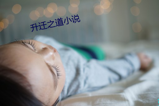 升迁之道小说
