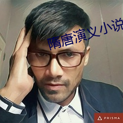 隋唐演义小说 （不善）