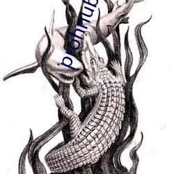 prohnub怎(怎)么进入(入)