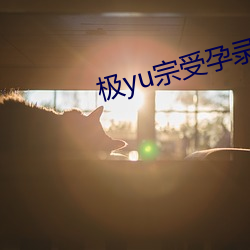 极yu宗受孕录 （夹七夹八）