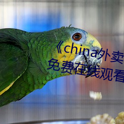 《china外卖小哥gary2022》高清免费在线观看 （报雠雪恨）