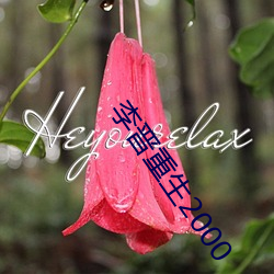 李晋重生2000