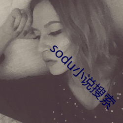 sodu小说搜索 （琐细）