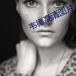 韦德高(高)清图片