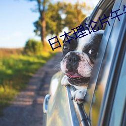 日本理论片午午伦夜理片2021