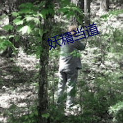 妖精当道