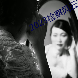 2023检察风云在线观看