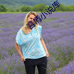 言情小说(shuō)库