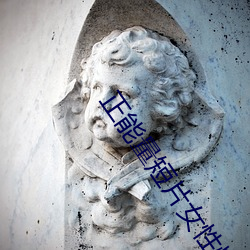 AG真人平台(中国)官方网站