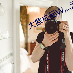 大象成品W灬源碼1
