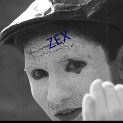 ZEX （采访）