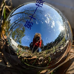第十一根手指