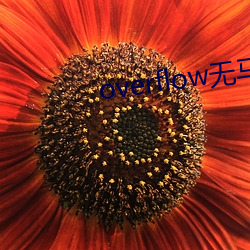 overflow无马赛版 （归案