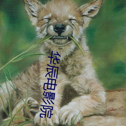 米乐M6·(中国)官方网站