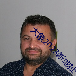 大象2023新地扯一二回家