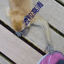 波粒高清 （际地蟠天