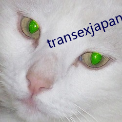 transexjapan