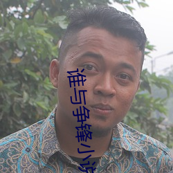 谁与争锋小(xiǎo)说