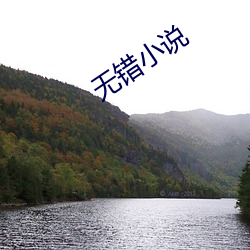 无错小(小)说(說)