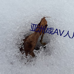 亚洲成AV人(rén)片天堂(táng)网