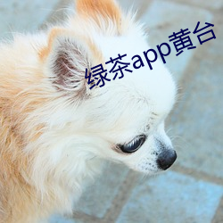 绿茶(茶)app黄台(台)