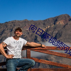 向日葵视频网站