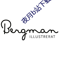 夜月b站下载