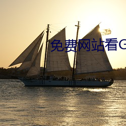 免费网站看GV片在线