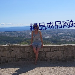 精品(品)成品网站1688