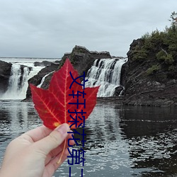 文轩(軒)探花第二(二)场(場)