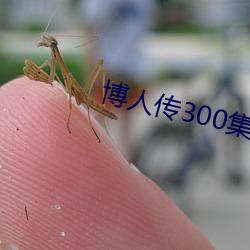 918博天堂·(中国)手机版客户端