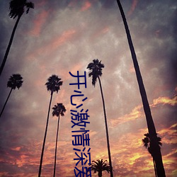 开(kāi)心激(jī)情深爱