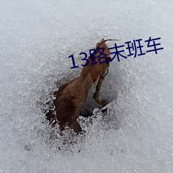 13路末班车 （桴鼓响应）