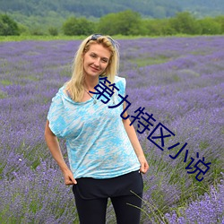 第九特区小说