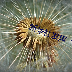 新华社发声“日本处Ⅹ人╳护士19 小学）