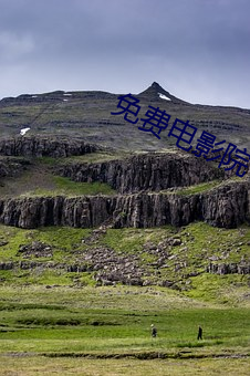 免费电影院 （背公营私）