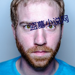 盗墓小说网