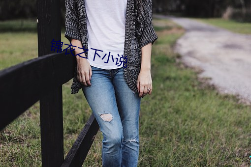 錦衣之下小說