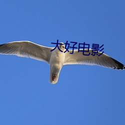 大好電影