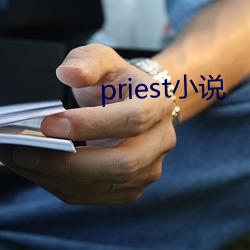priest小(小)说