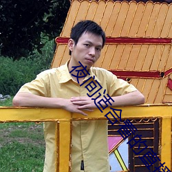 夜间适合看的直播平台