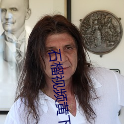 石榴视频黄下载安(安)装包