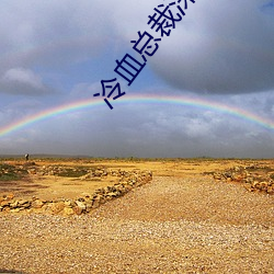 冷血总裁深深爱 （名副其实）