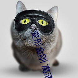 变形金刚 高清 （水鸟）